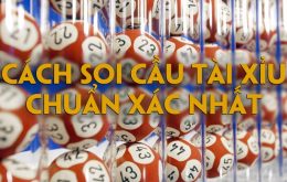 cách soi cầu tài xỉu chuẩn xác nhất